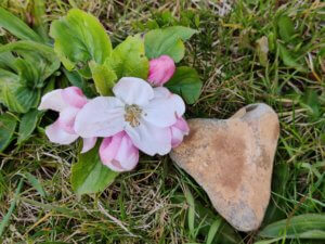 El Sole - Kinderyoga oefening: De Aarde danken